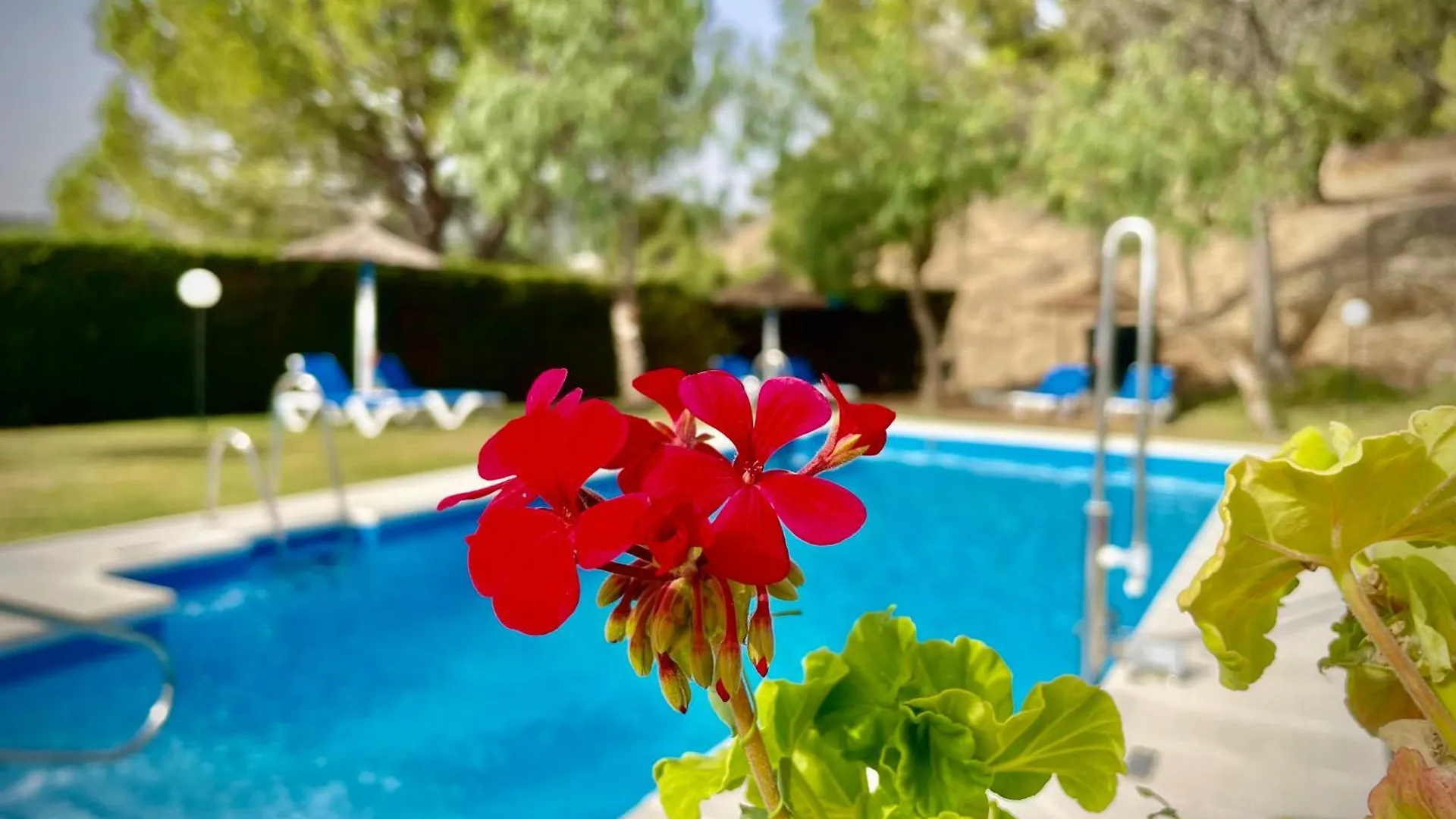 Hotel Tugasa Villa De Algar Algar  Spanien